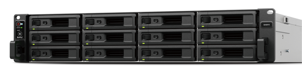 Synology SA SA3410 NAS/storage server Rack (2U) LAN , D-1541
