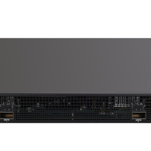 Check Point Quantum 28600 HyperScale Appliance for Maestro with SandBlast