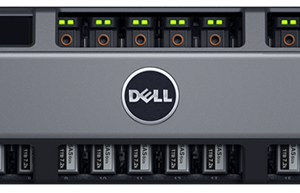 Dell PowerVault MD1220 Expansion 2 x 6G SAS Controllers