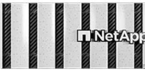 NetApp AFF C-400 Storage