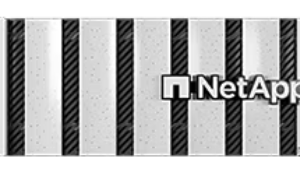 NetApp AFF C-800 Storage