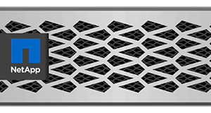 NetApp AFF A220 All-SAN Array