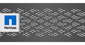 NetApp FAS2720 FAS Storage Array