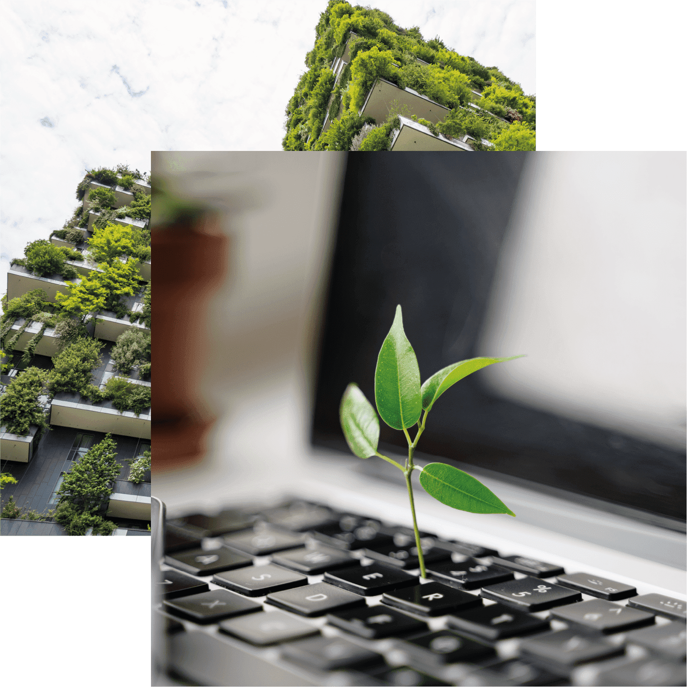 Sustainable IT Hardware for Businesses | Networking, Servers & Storage